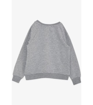 Erkek Çocuk Sweatshirt Sevimli Ayıcık Baskılı Kulakları Hareketli Gri Melanj (2-6 Yaş)