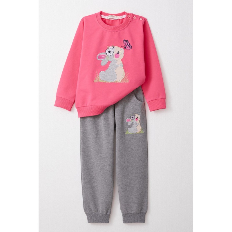 Kız Bebek Eşofman Takım Tavşan & Kelebek Nakışlı Pembe (9 Ay-3 Yaş)