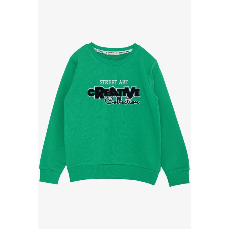 Erkek Çocuk Sweatshirt Kabartmalı Yazı Nakış Baskılı Yeşil (4-9 Yaş)