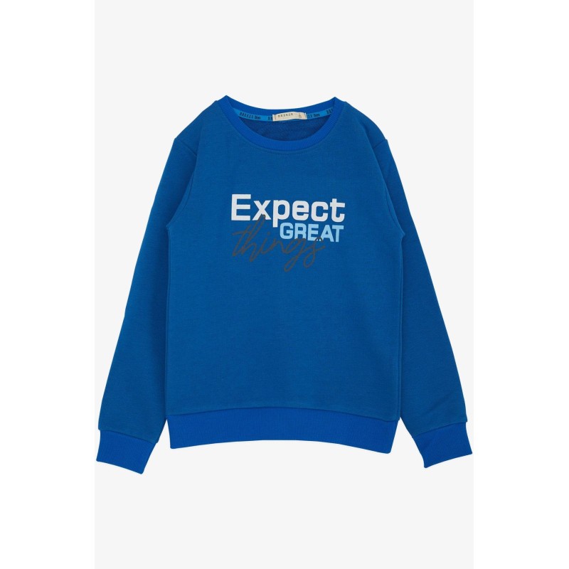 Erkek Çocuk Sweatshirt Yazı Baskılı Saks Mavisi (4-8 Yaş)